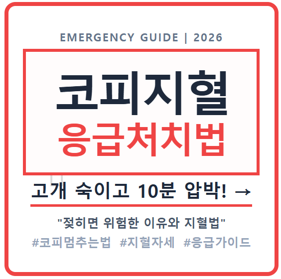 코피가 멈추지 않을때