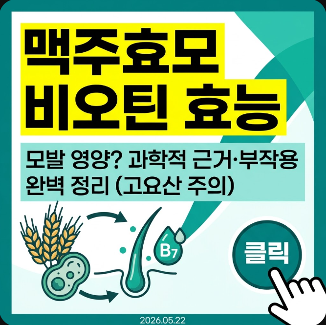 맥주효모 비오틴 효능