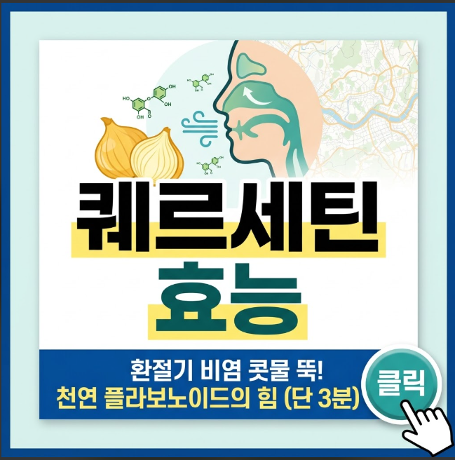 퀘르세틴 효능 및 알레르기 비염 개선을 위한 브로멜라인 복용법