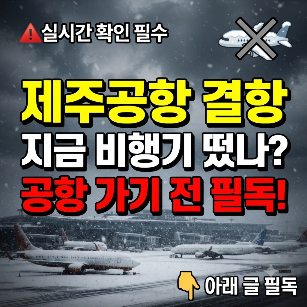 제주공항 결항정보