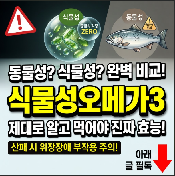 식물성 오메가3