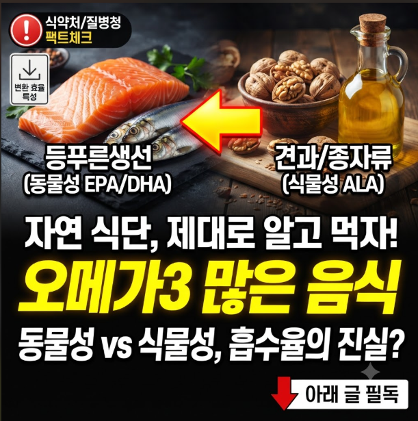 오메가3 많은 음식