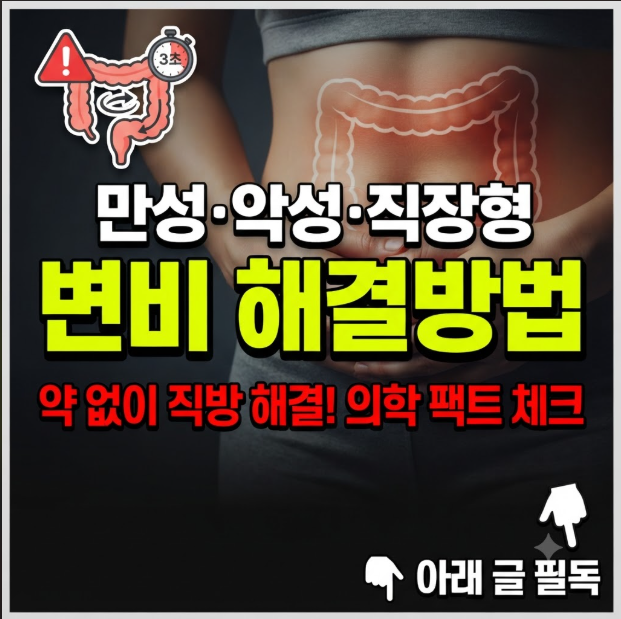 변비 해결방법