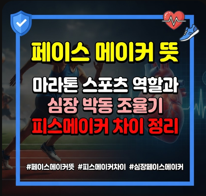 페이스 메이커 뜻