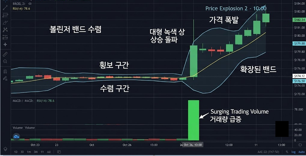  추세장 밴드 타기 매매