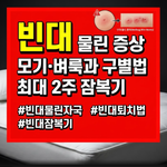 빈대