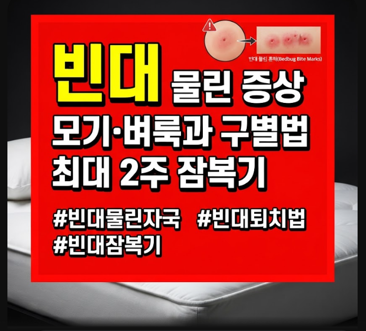 빈대