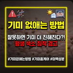 기미 없애는 방법