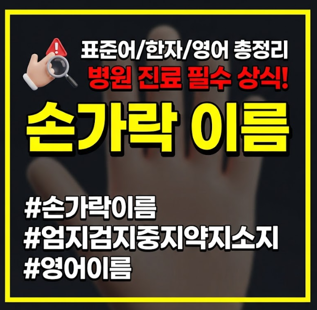 손가락 이름