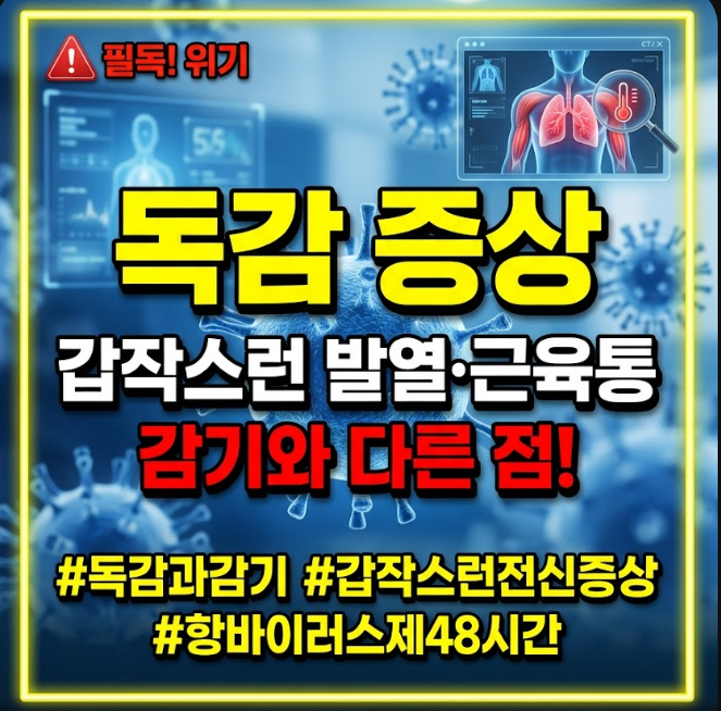 독감 증상